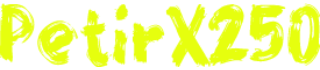 PetirX250